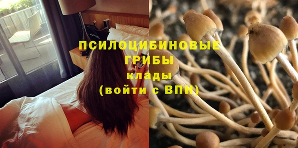 каннабис Новодвинск