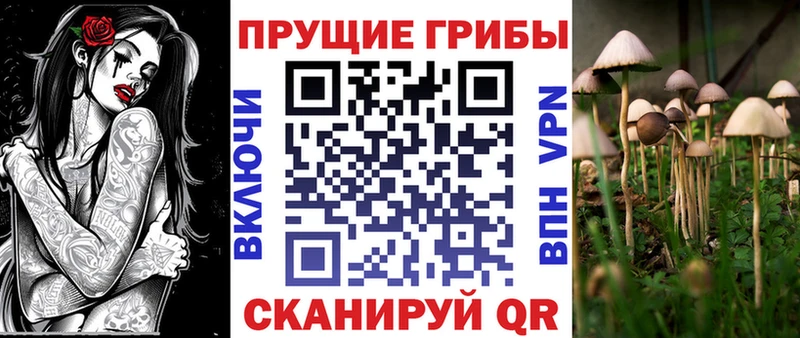 Псилоцибиновые грибы прущие грибы Андреаполь