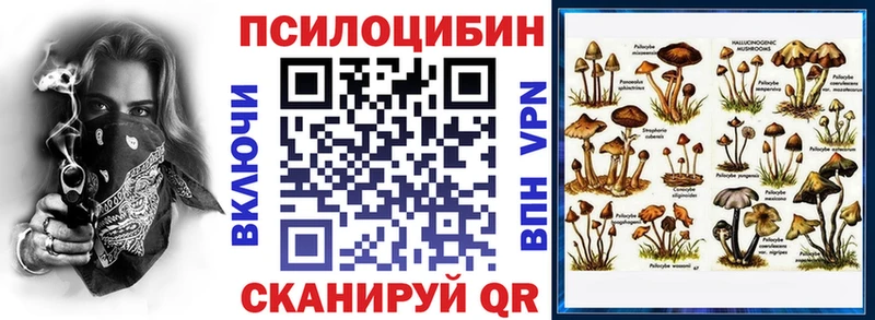 Галлюциногенные грибы GOLDEN TEACHER  Андреаполь 